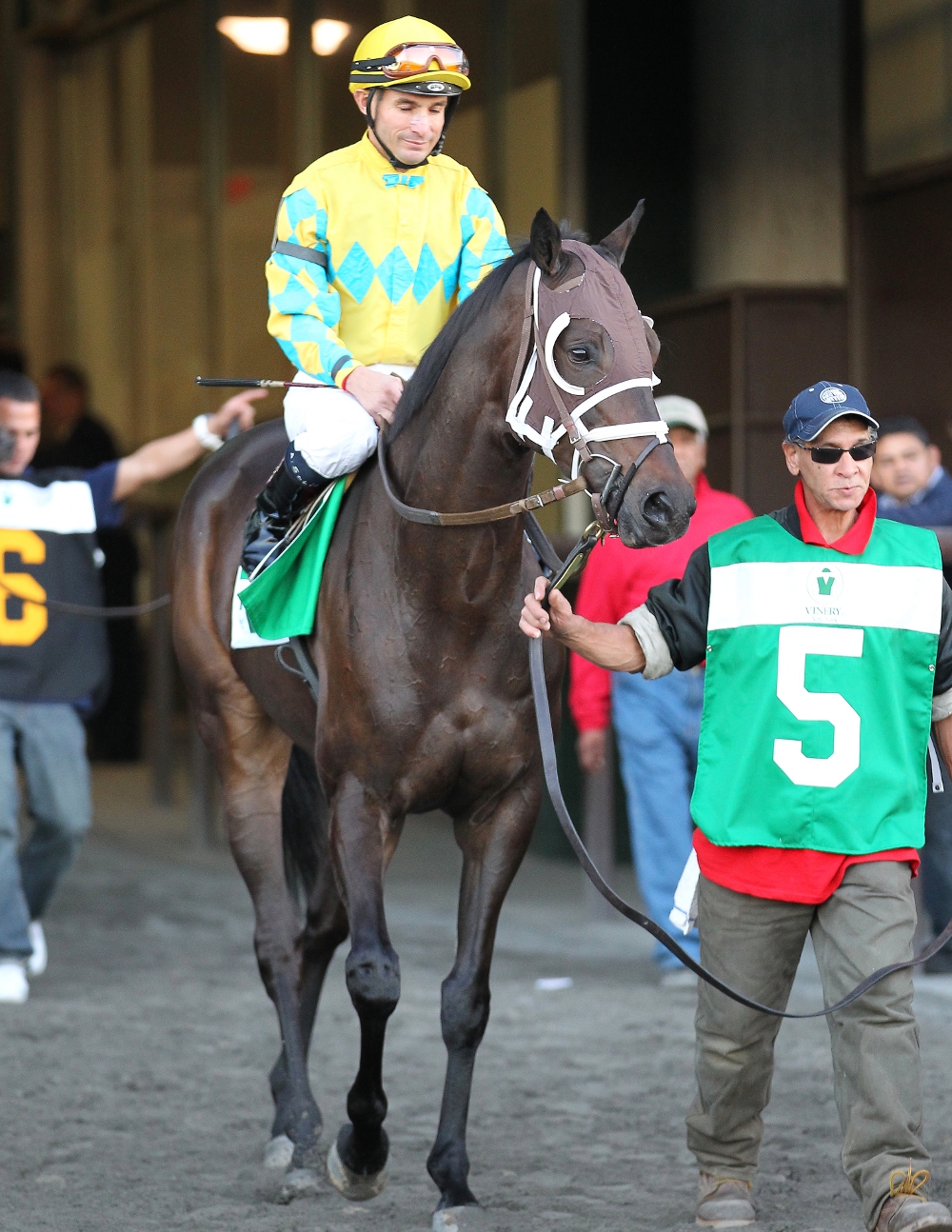 compliance-officer-now-five-in-a-row-with-bluegrass-cat-mohawk-triumph