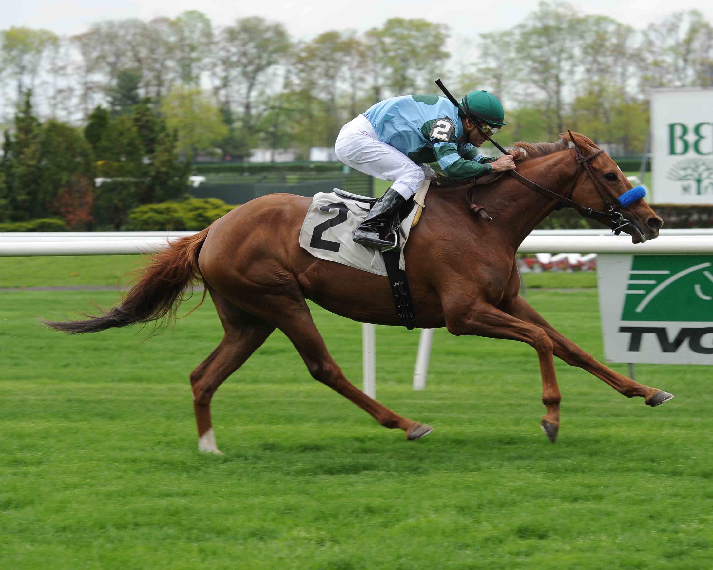 Chorus Music Gets the Job Done on Belmont’s Opening Day in Irish