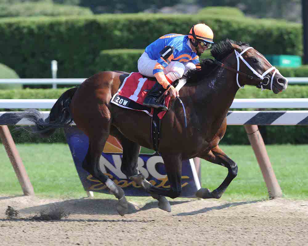 Zow a Perfect 2-for-2 after Gold and Roses - New York Thoroughbred ...