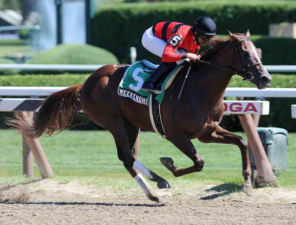 Good-looking stakes debut victory for juvenile Weekend Hideaway - New ...