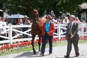 Funny Cide 3