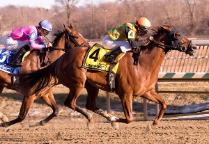 Jim McCue/Maryland Jockey Club