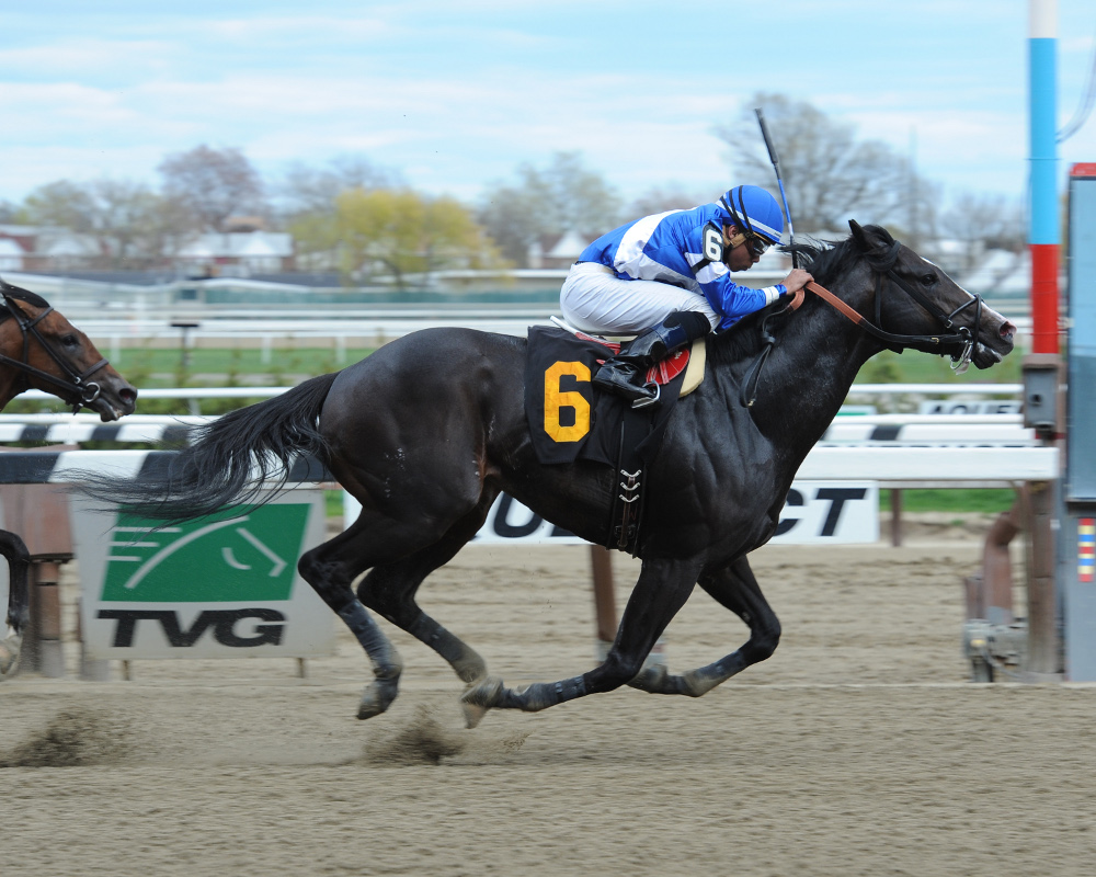 Favorite Loki's Vengeance garners first stakes victory in NYSS Times